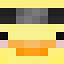 FurretaOWNA classic skin texture