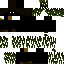 ProDaniil2010 classic skin texture
