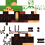 JavierGS1 classic skin texture