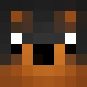 d4wgs classic skin texture