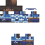 chadwiclc classic skin texture
