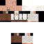 TheWallIsTalking classic skin texture
