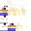 FireFlamingo5 classic skin texture