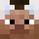 brieebs classic skin texture