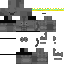 Classical_Ploi classic skin texture