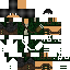 Dominic5555 classic skin texture