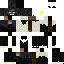 parcoreninja00 classic skin texture