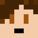 Br0wnW0lf212 classic skin texture