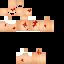 Serionxp classic skin texture