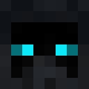 lopixud classic skin texture