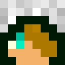 20000911Niklas classic skin texture
