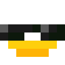 Udeix classic skin texture