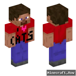 SuperKittenLover - Minecraft skin