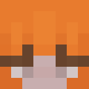 TheLynkYT classic skin texture