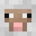 FunnyBuddy2936 classic skin texture