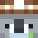 KoalaMaster148 classic skin texture