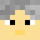 Beethoven_ classic skin texture