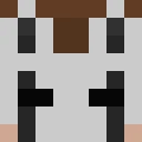 _RyuFighters classic skin texture