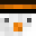 ckoop09 classic skin texture
