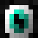 plnz classic skin texture