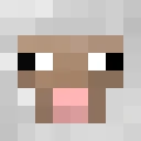 MeirSheep classic skin texture