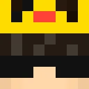 DzPlayzs classic skin texture