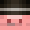 Dumpig8151 classic skin texture