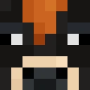 UT_Austin classic skin texture