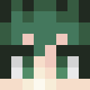 DekuAssault classic skin texture