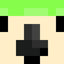 parrotx2yt