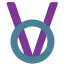 VoidSMP icon
