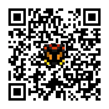 skins.qr_code_alt