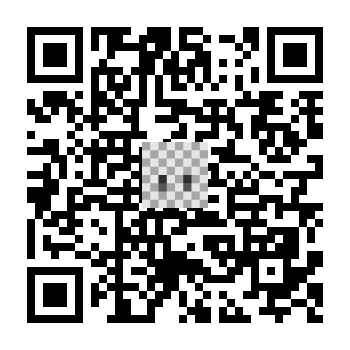 skins.qr_code_alt