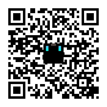 skins.qr_code_alt