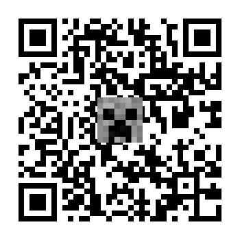 skins.qr_code_alt