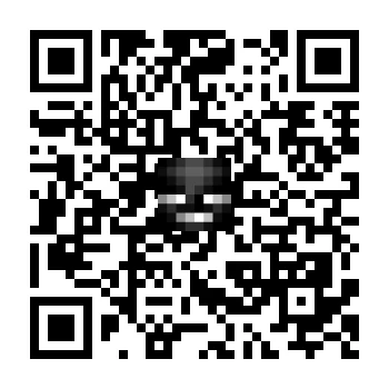 skins.qr_code_alt