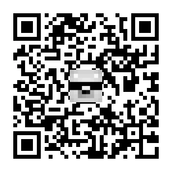 skins.qr_code_alt
