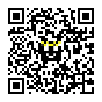 skins.qr_code_alt
