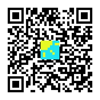 skins.qr_code_alt