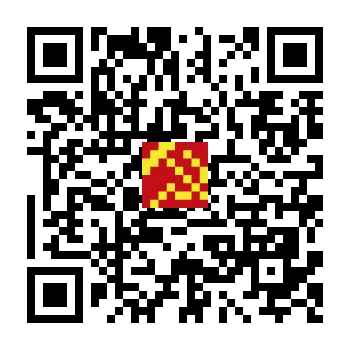 skins.qr_code_alt