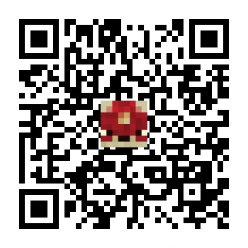 skins.qr_code_alt