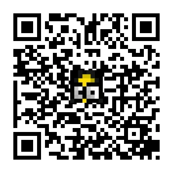 skins.qr_code_alt