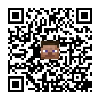 skins.qr_code_alt