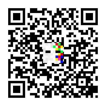skins.qr_code_alt