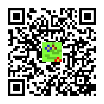 skins.qr_code_alt