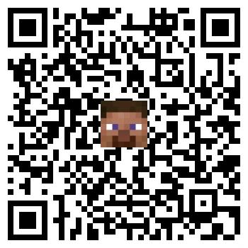 skins.qr_code_alt
