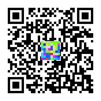skins.qr_code_alt