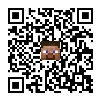 skins.qr_code_alt
