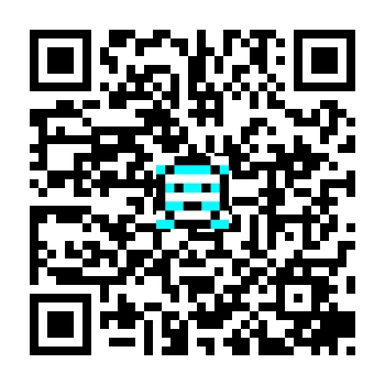 skins.qr_code_alt