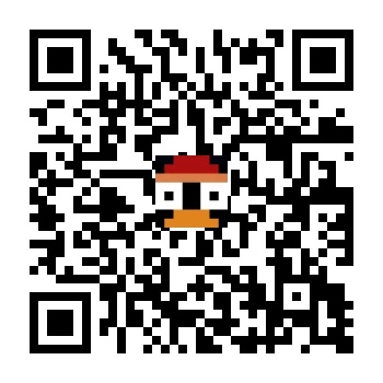 skins.qr_code_alt